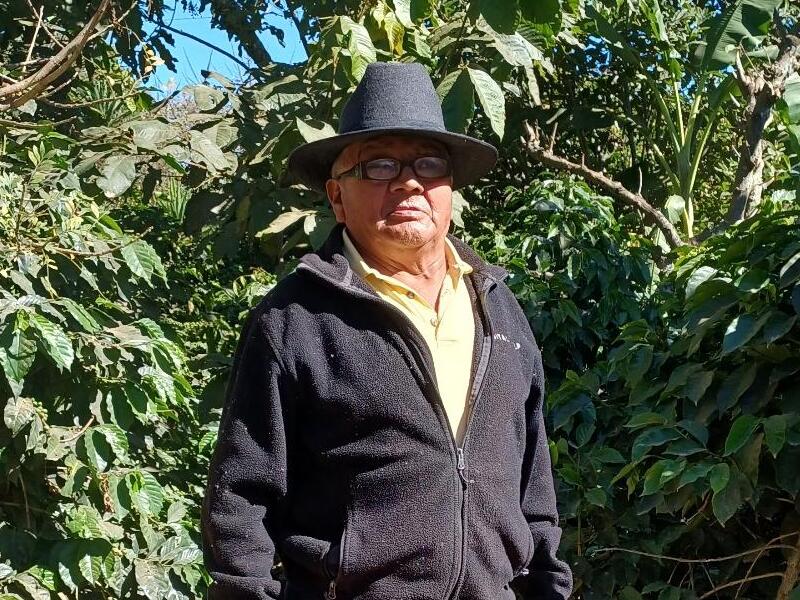 グアテマラ Co-NECT PROJECT アンティグア サンフランシスコ農園